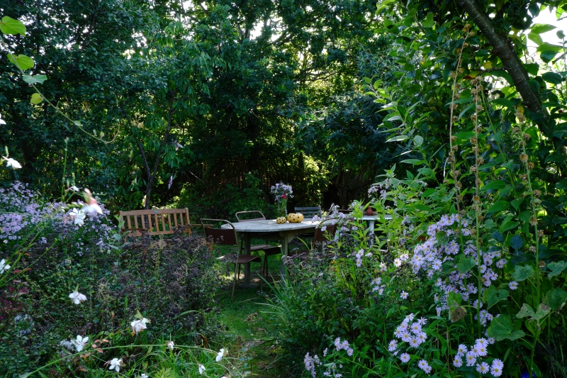 C2C Grows - Community Allotment Garden